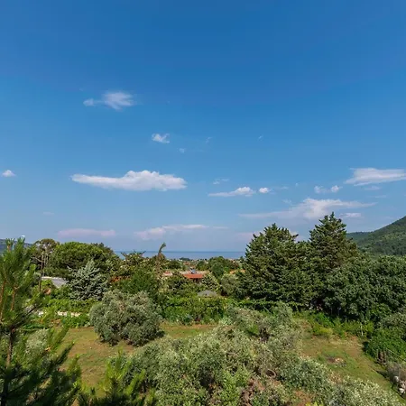 Apartamento Vasilia *