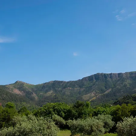 Vasilia * Skala Potamia (Thasos)