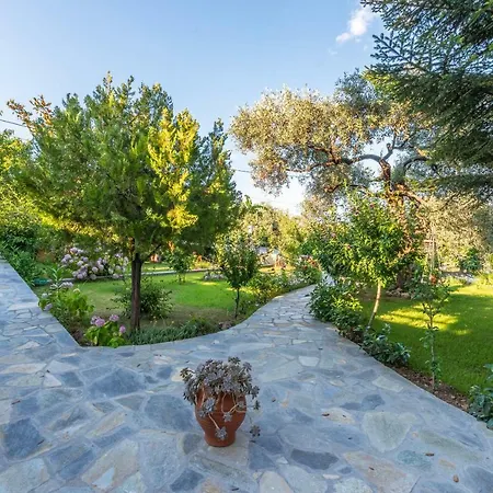 Apartamento Vasilia *