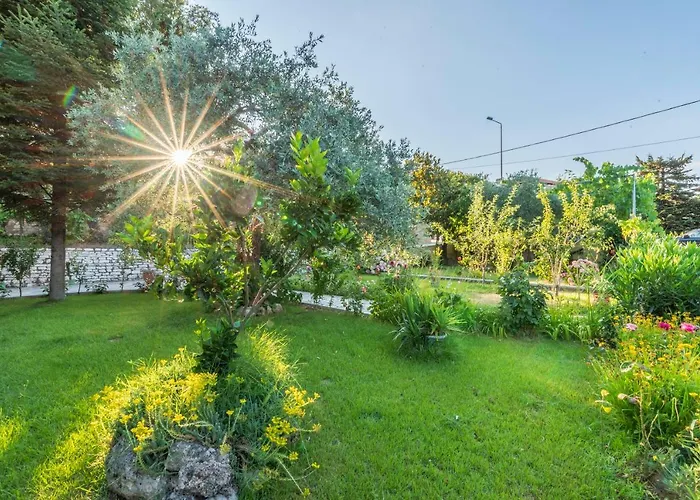 Vasilia Apartamento Skala Potamias